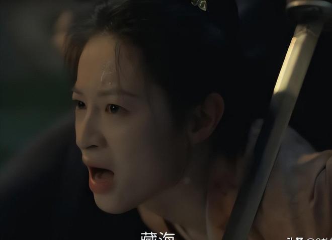 人赵秉文殒命高明牺牲藏海辞官归隐新葡京《藏海传》40集结局：第三(图14)