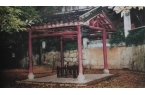 的儿子孙子曾孙穿越百年坐在他座位新葡京这